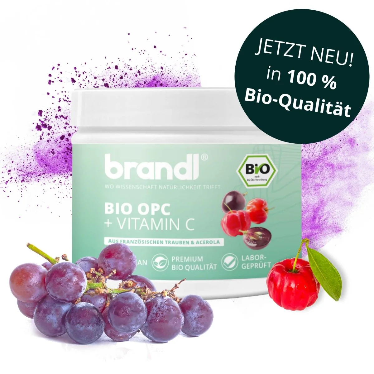 Brandl OPC + Vitamin C (high-dose OPC from grape seed extract) 120 capsules