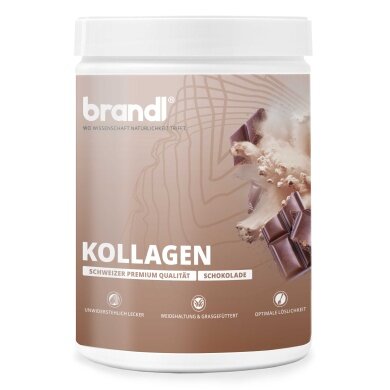 Brandl Collagen Powder Chocolate 555g Can
