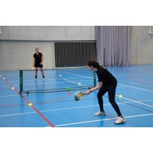 Carrington Pickleball Set (4x paddles, 4x balls, 1x net, 1x carry bag)