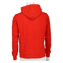 Champion Hoodie Graphic Shop Logo red Boys