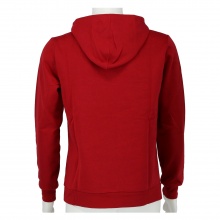 Champion Hooded Sweatshirt Hoodie Big Logo Print (lined) dark red Boys