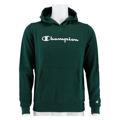 Champion Hoodie Big Logo Print Hoodie (lined) forest green Boys