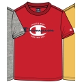 Champion Leisure T-shirt (Cotton) Crew Graphic Print 2023 red Boys