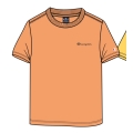 Champion Leisure T-shirt (Cotton) Crew with Small Logo Lettering 2023 orange Boys