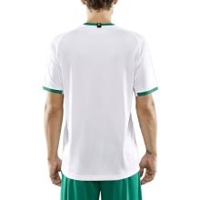 Craft Sport T-shirt (Jersey) Progress 2.0 Graphic Jersey - light, functional and stretch material - white/green Men
