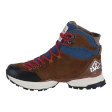 Dachstein hiking shoes Wildspitze GTX 1925 (suede, waterproof) brown/blue men's