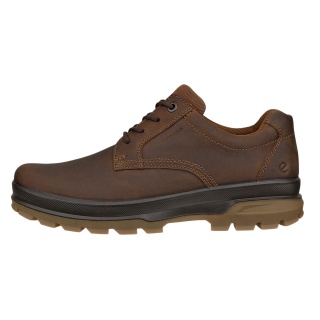 ECCO Everyday Travel Shoes Rugged Track WP Plain Toe (waterproof) brown men's