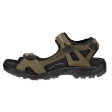 ECCO Yucatan Sandal (Offroad) Leather brown/black Men's