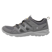 ECCO Terracruise LT Low Vent Walking Shoes Grey Men's