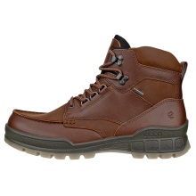 ECCO Everyday Travel Shoes Track 25 Mid GTX (Nubuck Leather, Waterproof) Dark Brown Men