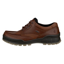ECCO Track 25 Low GTX Walking Shoes (Casual Shoes, Leather, Waterproof) Dark Brown Men's