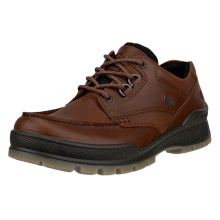 ECCO Track 25 Low GTX Walking Shoes (Casual Shoes, Leather, Waterproof) Dark Brown Men's