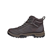 ECCO Xpedition III WP Hiking Boots (Premium Leather, Waterproof) brown men's