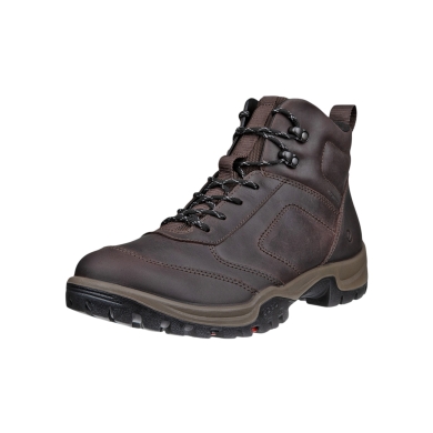 ECCO Xpedition III WP Hiking Boots (Premium Leather, Waterproof) brown men's