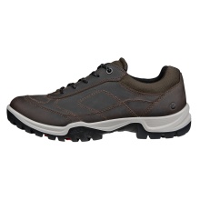 ECCO Xpedition III Walking Shoes (Premium Leather, Waterproof) brown men's