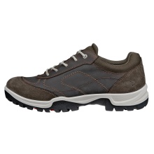 ECCO Xpedition III Walking Shoes (Premium Leather, Waterproof) brown ladies