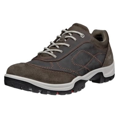 ECCO Xpedition III Walking Shoes (Premium Leather, Waterproof) brown ladies
