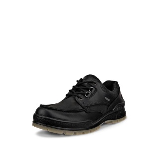 ECCO Track 25 Low GTX Walking Shoes (Casual Shoes, Full Grain Leather, Waterproof) Black Men's