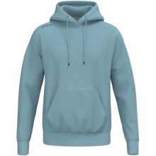 Erima Hooded Sweatshirt TS Hoodie (Cotton Blend) blue Men's