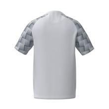 Erima Sport T-shirt Evo Star Jersey (100% recycled Polyester) white/grey men's
