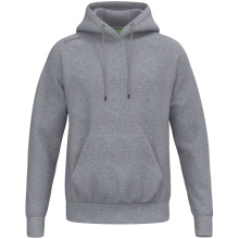 Erima Hooded Sweatshirt TS Hoodie (Cotton Blend) grey Men's