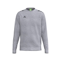 Erima Pullover CMPT Wings Sweatshirt (mixed fabric) grey men's