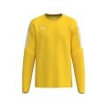 Erima Pullover Intro Sweatshirt (durable functional material) yellow boys