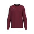 Erima Pullover Intro Sweatshirt (durable functional material) burgundy boys