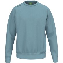 Erima Leisure Sweater TS (Cotton Blend) Blue Men's