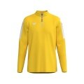 Erima Sport Long Sleeve Shirt Intro Training Top (Half-Zip, durable functional material) yellow boys