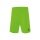 Erima Sport Shorts Rio 2.0 (100% Polyester, lightweight, elastic material) short green men's