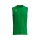 Erima Tank Top Intro Function (lightweight, maximum freedom of movement) green men's