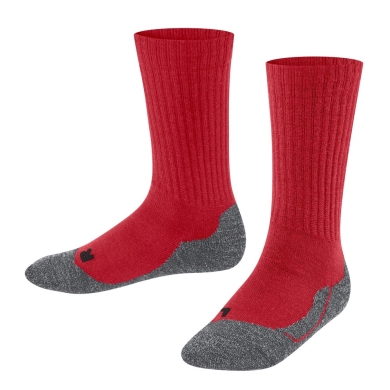 Falke Daily Sock Active Warm (warming merino wool) burgundy children - 1 pair