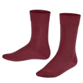 Falke Day Sock Comfort Wool (skin-friendly cotton) burgundy Children - 1 Pair