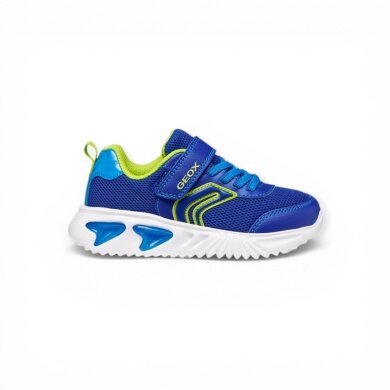 Geox Sneaker Assister blue/lime boys