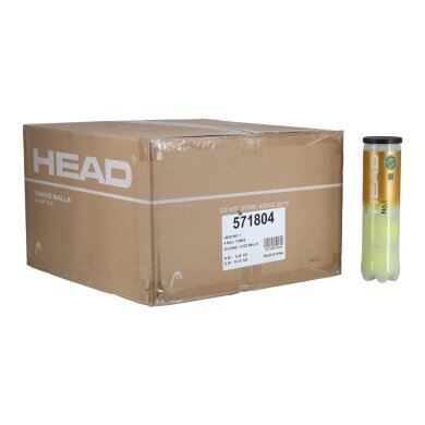 Head Tennis Balls No. 1 DTB Can 36x4 in Box