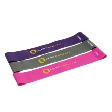 HMS Premium Resistance Band GU04 Pro Set (purple, grey, pink) - 3 pieces