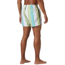 Helly Hansen Newport Swim Trunk - white/green men's swim shorts