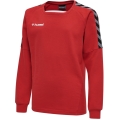 hummel Sport long-sleeved shirt hmlAUTHENTIC Training Sweat (sweat fabric, ribbed cuffs) red Kids