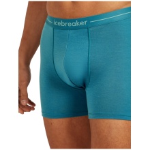 Icebreaker Anatomica Boxershorts (Merino Wool) Underwear Topaz Blue Men's