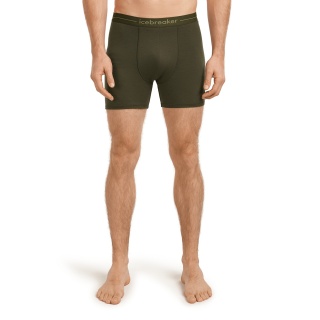 Icebreaker Anatomica Boxershorts (Merino Wool) Underwear Loden Dark Green Men's