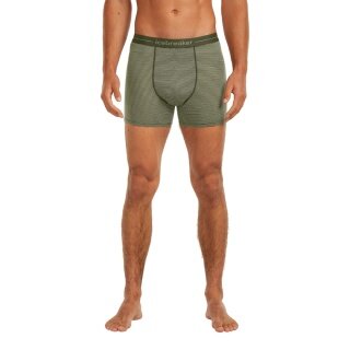 Icebreaker Anatomica Boxershorts (Merino Wool) Underwear lichen/loden green Men's