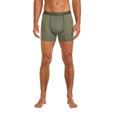Icebreaker Anatomica Boxershorts (Merino Wool) Underwear lichen/loden green Men's