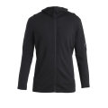 Icebreaker Hooded Jacket Merino 260 Quantum IV Zip-Hoodie (100% Merino Wool) black men
