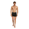 Icebreaker Underwear Boxer Shorts 150 Anatomica (Merino Wool) black Men's - 2 pieces