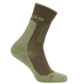 Icebreaker Wandersocke Crew Hike+ Medium (Merino wool, durable, lightweight) loden green - 1 pair