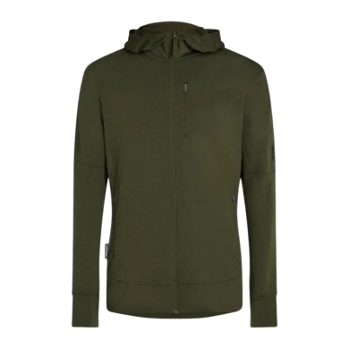 Icebreaker Merino 260 Quantum IV Zip Hoodie (100% Merino Wool) green men's