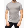 Icebreaker Functional T-shirt Sphere III SS 2024 - Merino Wool, Cool-Lite - moisture-wicking - grey Men