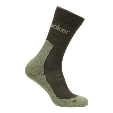 Icebreaker Wander Sock Crew Hike+ Light (Merino wool, durable, lightweight) loden green men's