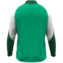 JAKO Long Sleeve Shirt Ziptop Dynamic (recycled Polyester, elastic material) green/white/dark green men's